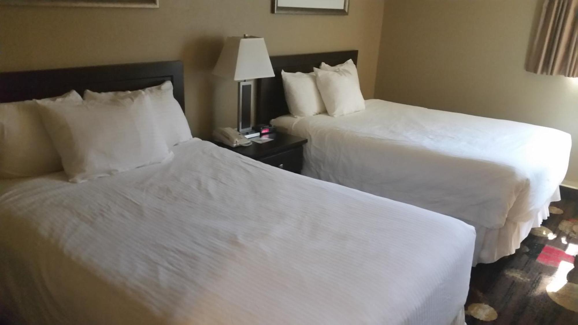 פורט מקמארי Stonebridge Hotel חדר תמונה